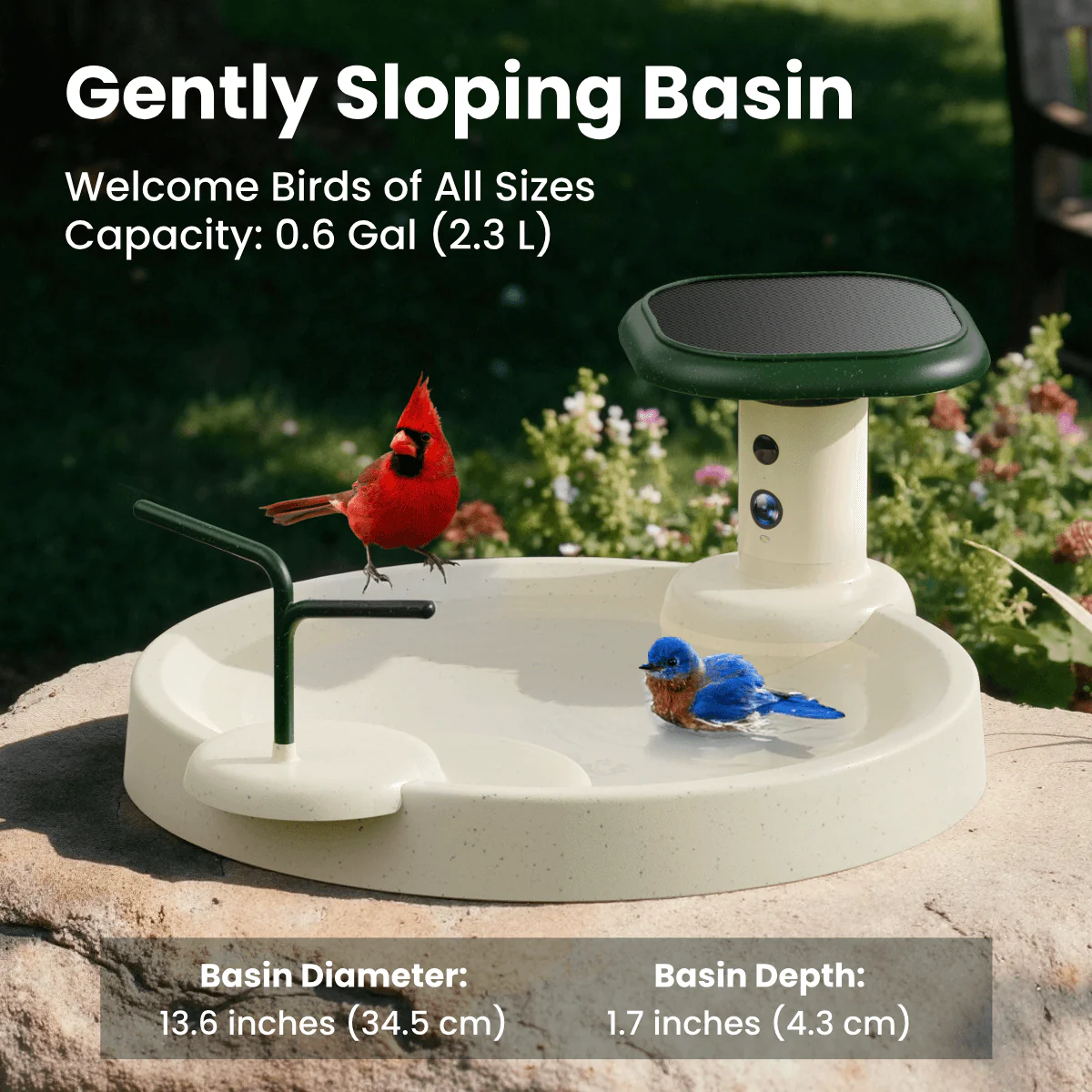 Birdfy Bath Jolly O - Solar-Powered Smart Birdbath - Image 5