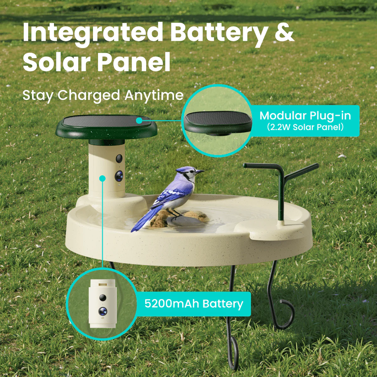 Birdfy Bath Jolly O - Solar-Powered Smart Birdbath - Image 6
