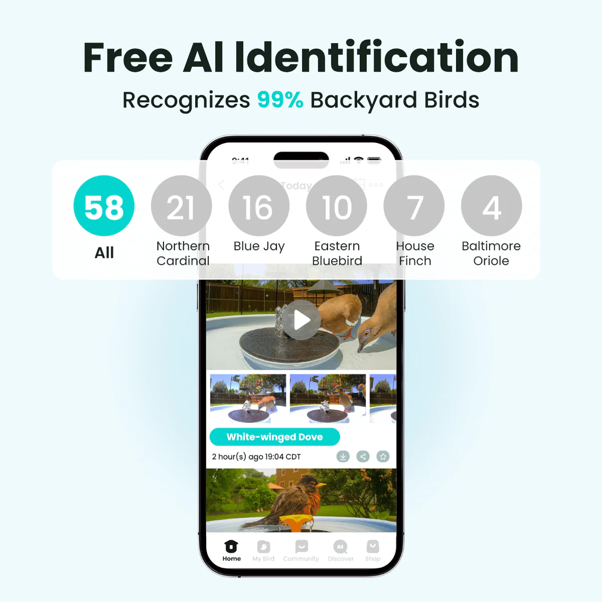 Birdfy Bath Pro - Solar-Powered Smart Birdbath with Fountain - Image 3