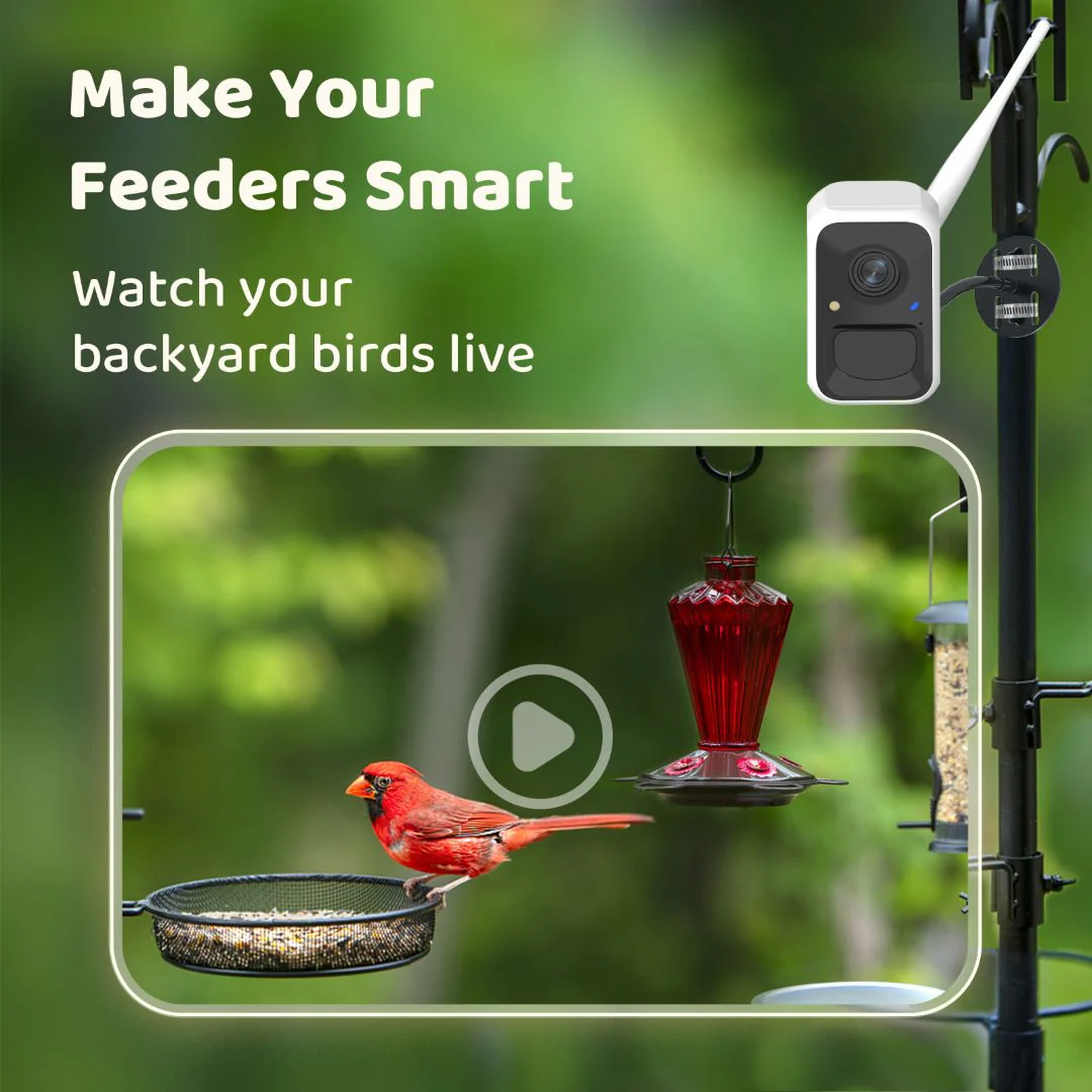 Birdfy Cam - Smart Birdwatching Camera with Bendable Mount - Image 4