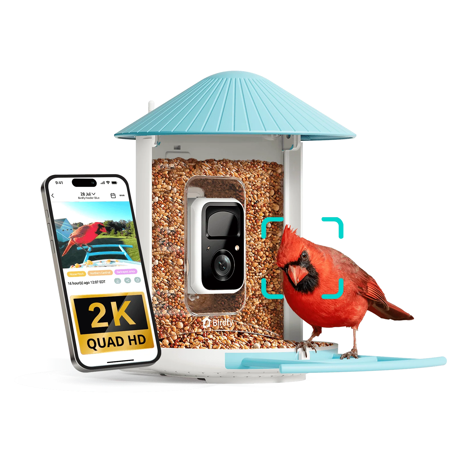 Birdfy Feeder - AI-Powered Smart Bird Feeder with Camera - Image 15