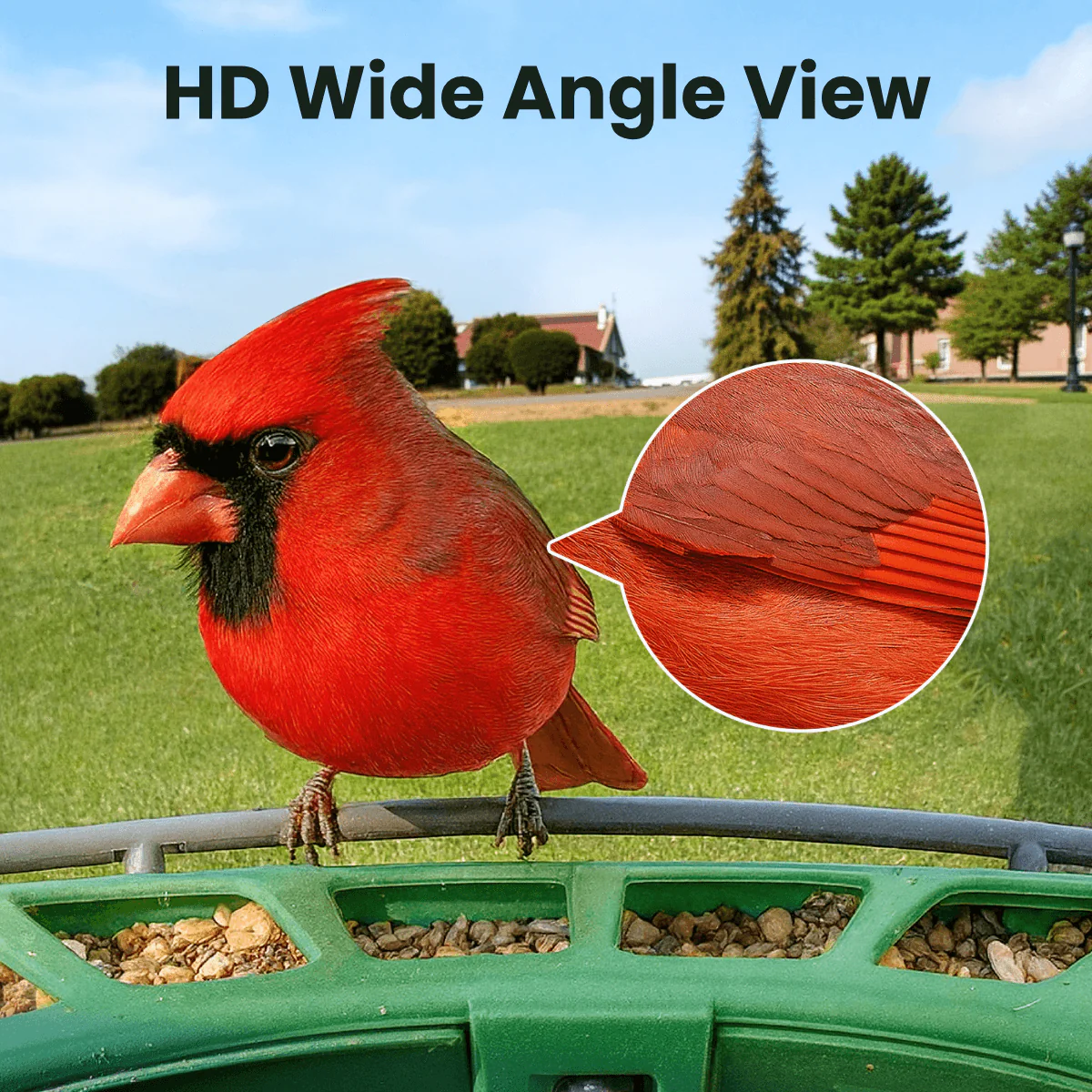 Birdfy Feeder 2 - Smart Bird Feeder - Image 5