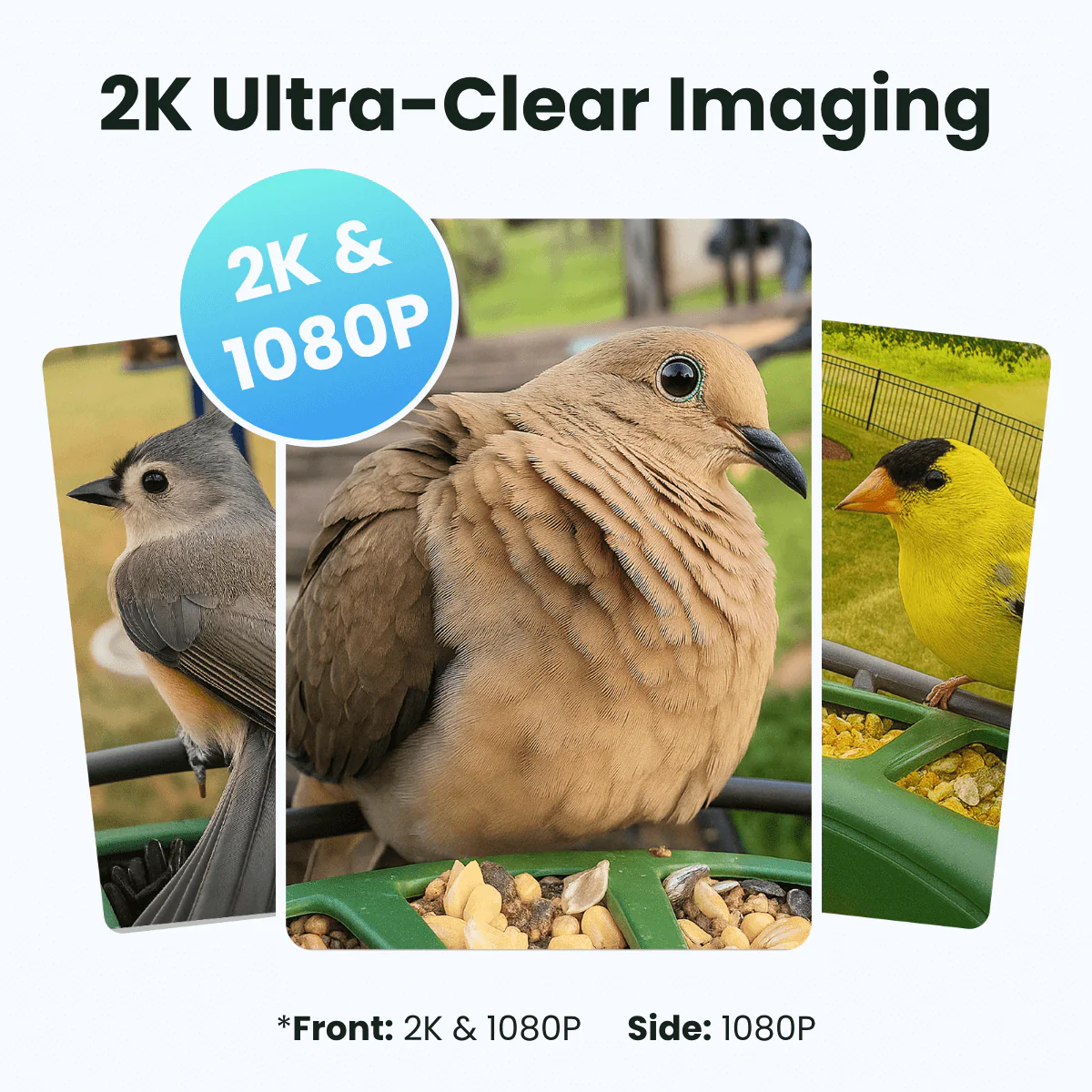 Birdfy Feeder 2 Duo - Triple-Lens Smart Bird Feeder with Cameras - Image 4