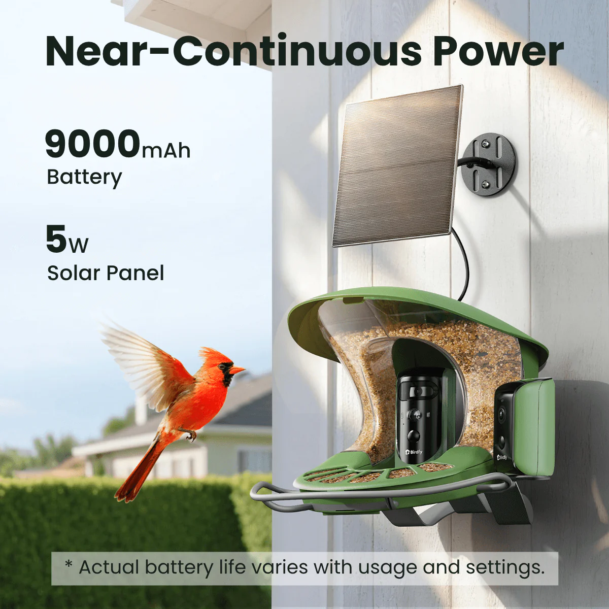 Birdfy Feeder 2 Duo - Triple-Lens Smart Bird Feeder with Cameras - Image 8