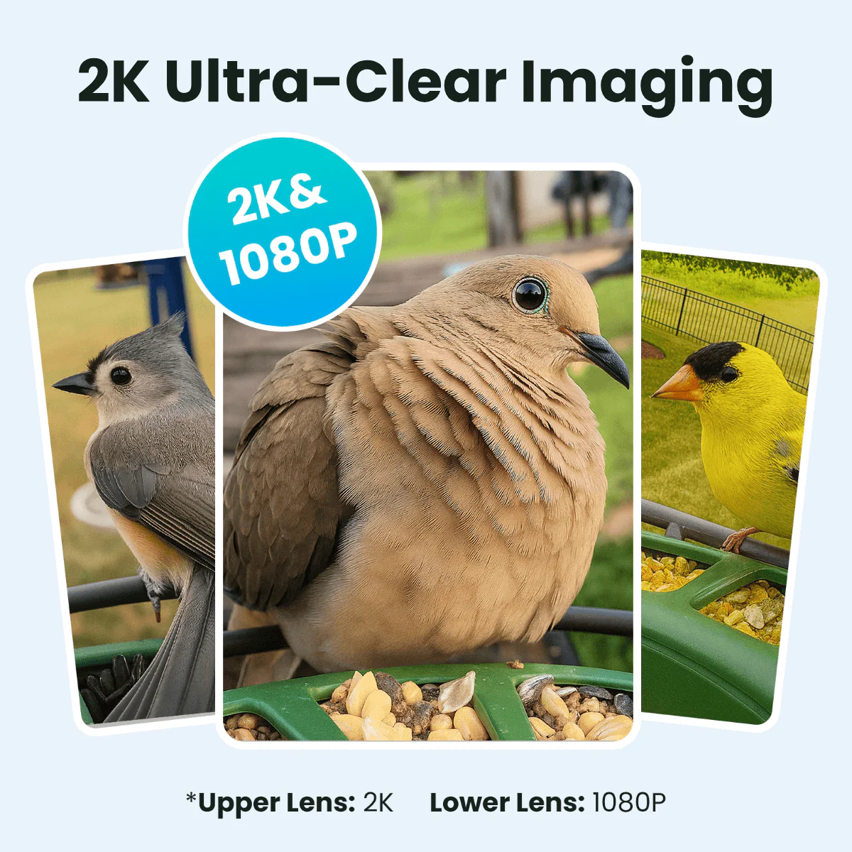 Birdfy Feeder 2 Pro - Dual-Lens Smart Bird Feeder with Camera - Image 3