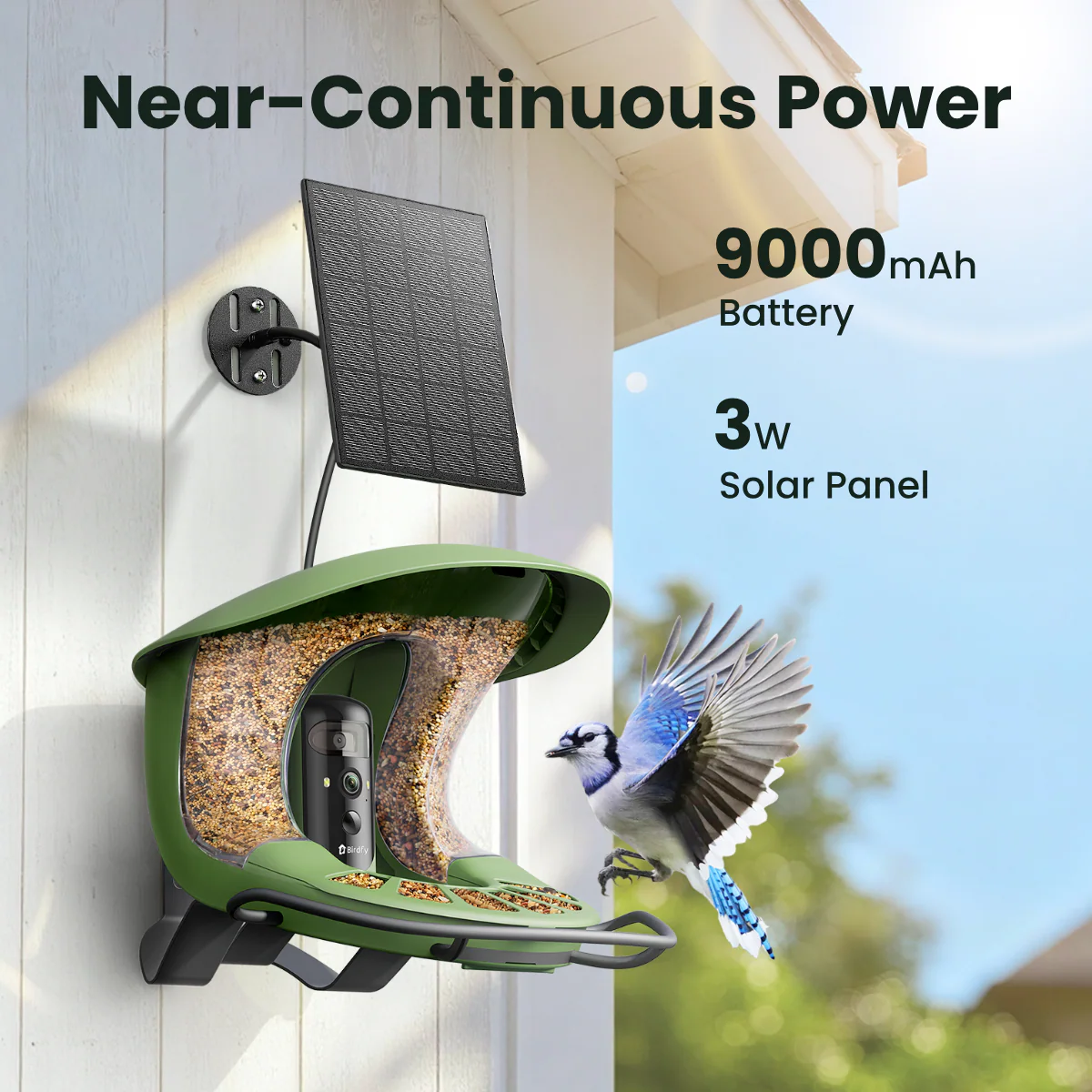 Birdfy Feeder 2 Pro - Dual-Lens Smart Bird Feeder with Camera - Image 9