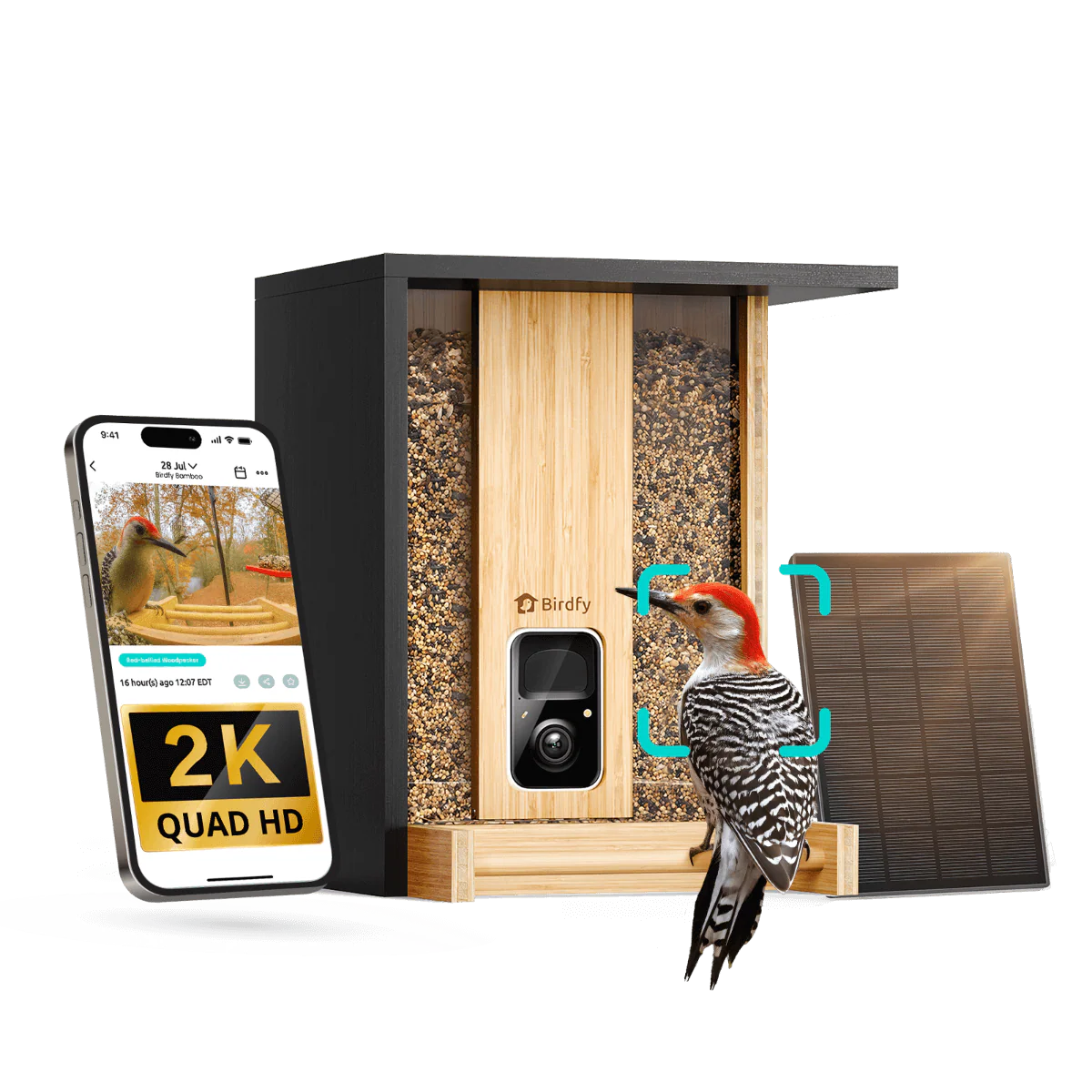 Birdfy Feeder Bamboo - Smart Bird Feeder with Eco-friendly Material - Image 14