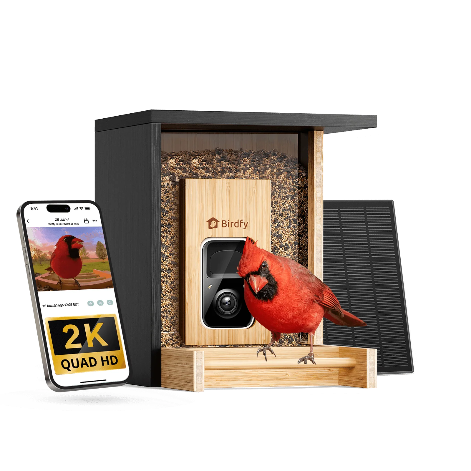 Birdfy Feeder Bamboo Mini - Bird Feeder With Camera - Image 11