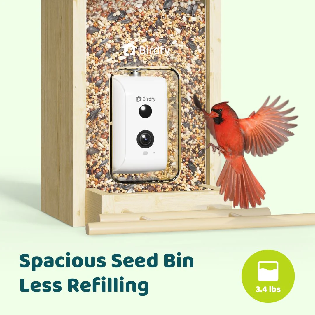 Birdfy Feeder Ebony - Wooden Smart Bird Feeder - Image 4