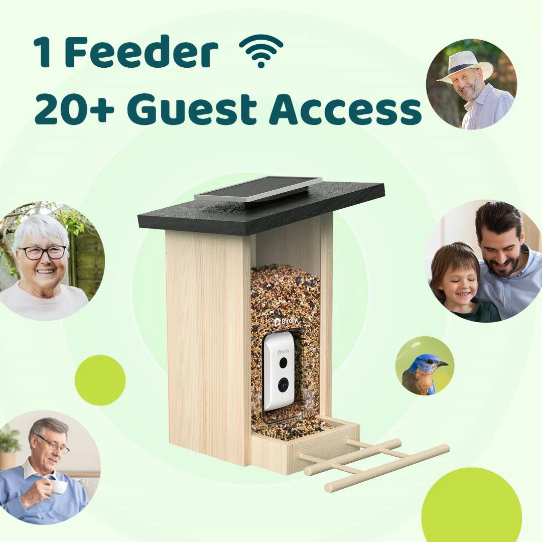 Birdfy Feeder Ebony - Wooden Smart Bird Feeder - Image 8