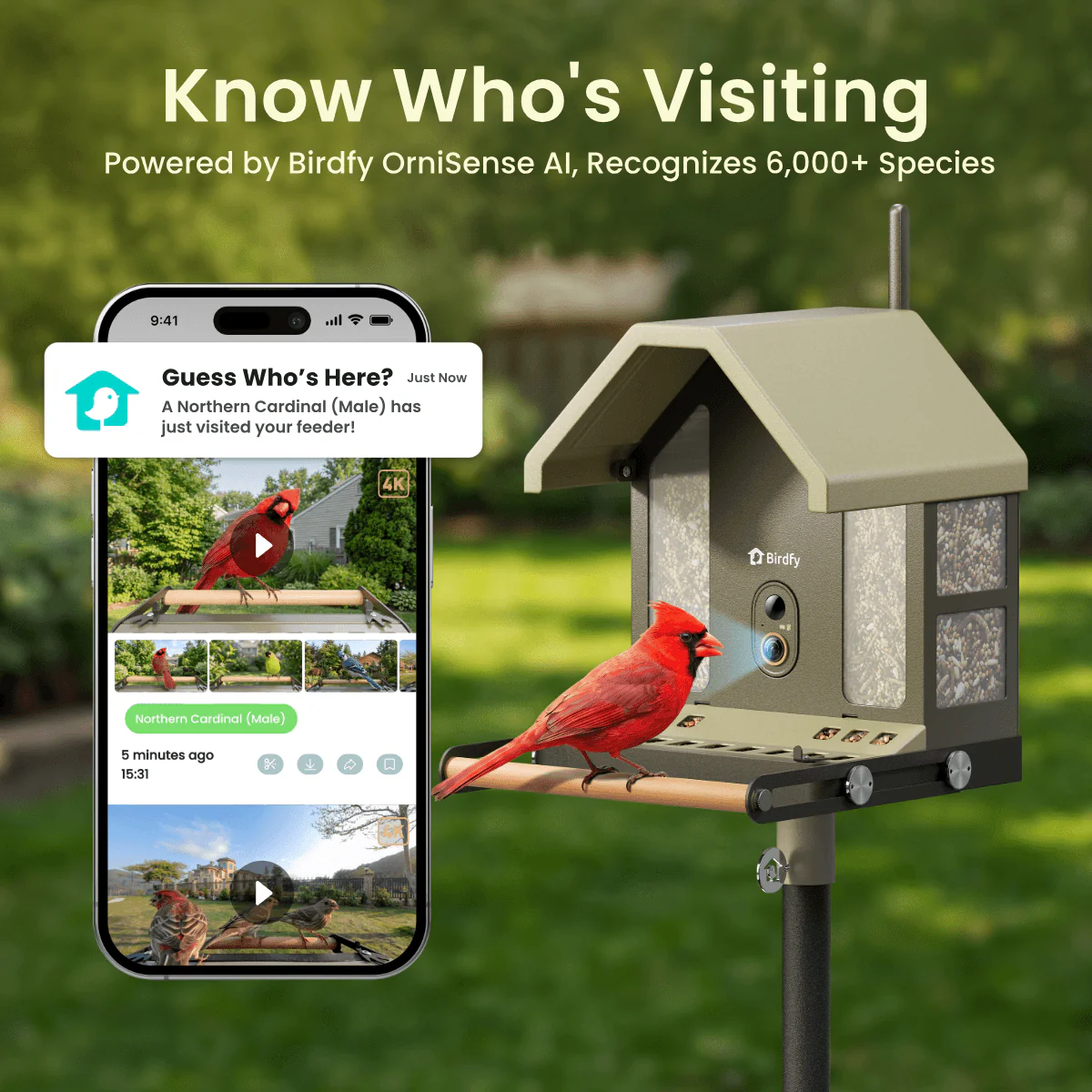 Birdfy Feeder Metal 2 4K - Smart Bird Feeder with Camera - Image 6