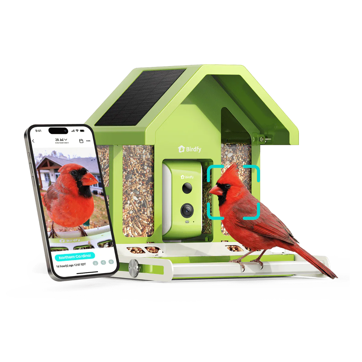 Birdfy Feeder Metal -  Limited Father's Day Gift Set | Smart Bird Feeder with Camera - Image 11