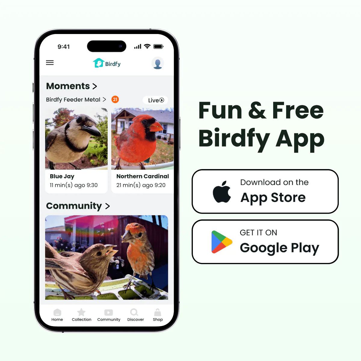 Birdfy Feeder Metal -  Limited Father's Day Gift Set | Smart Bird Feeder with Camera - Image 13