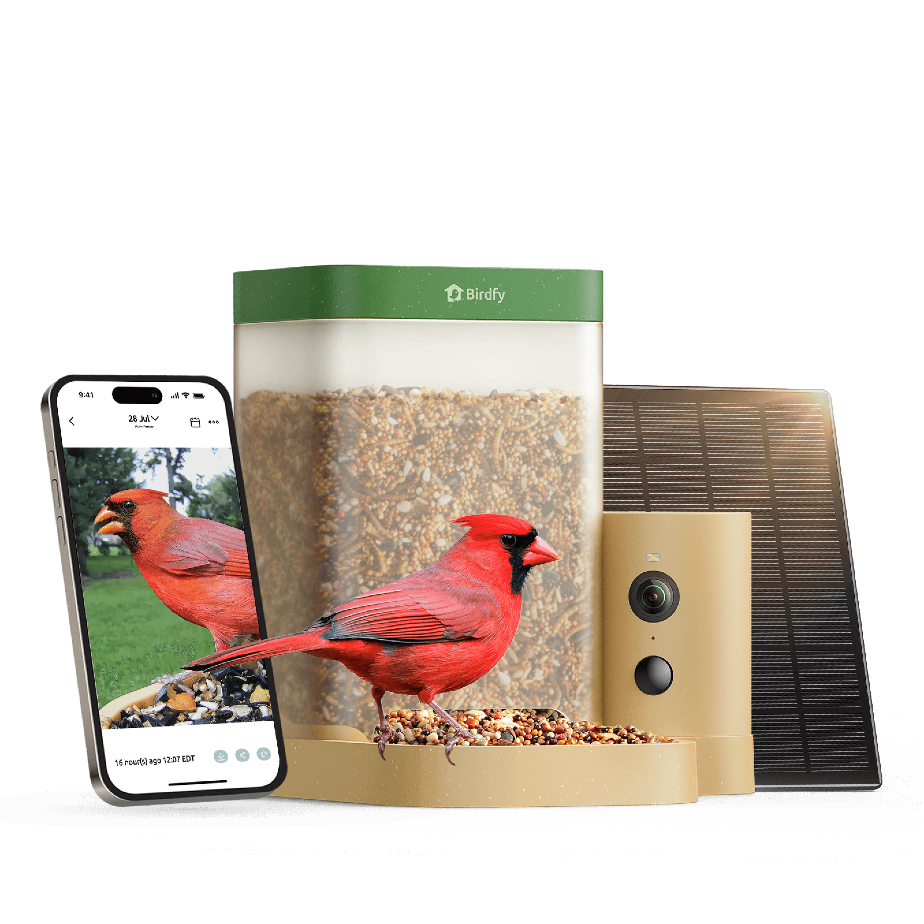 Birdfy Feeder Rookie - Beginner-Friendly Smart Bird Feeder Green - Image 15