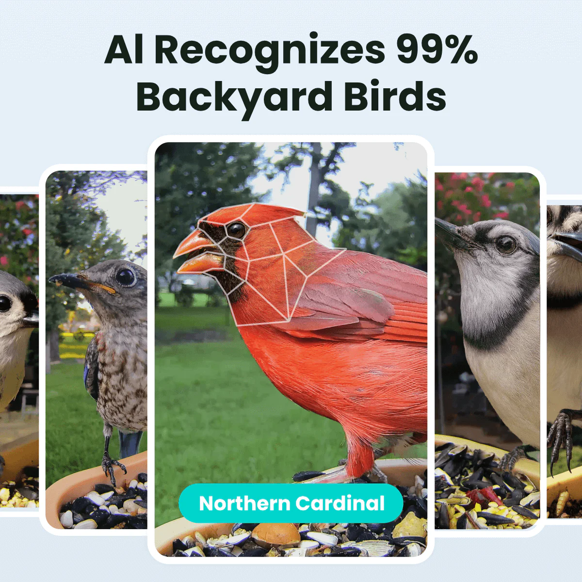 Birdfy Feeder Rookie - Beginner-Friendly Smart Bird Feeder Green - Image 3