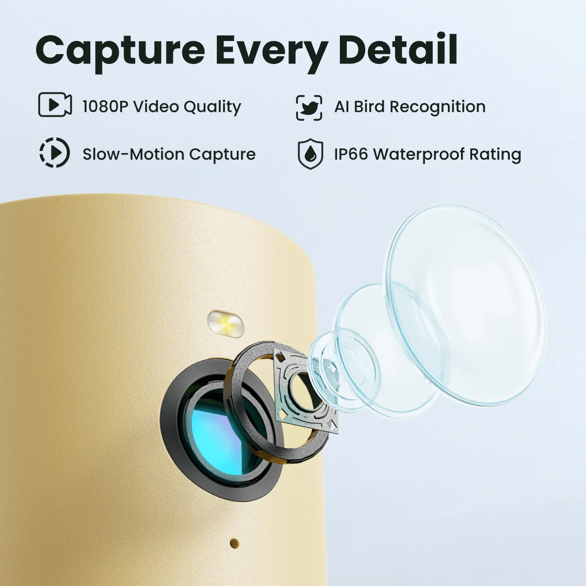 Birdfy Feeder Rookie - Beginner-Friendly Smart Bird Feeder Green - Image 4