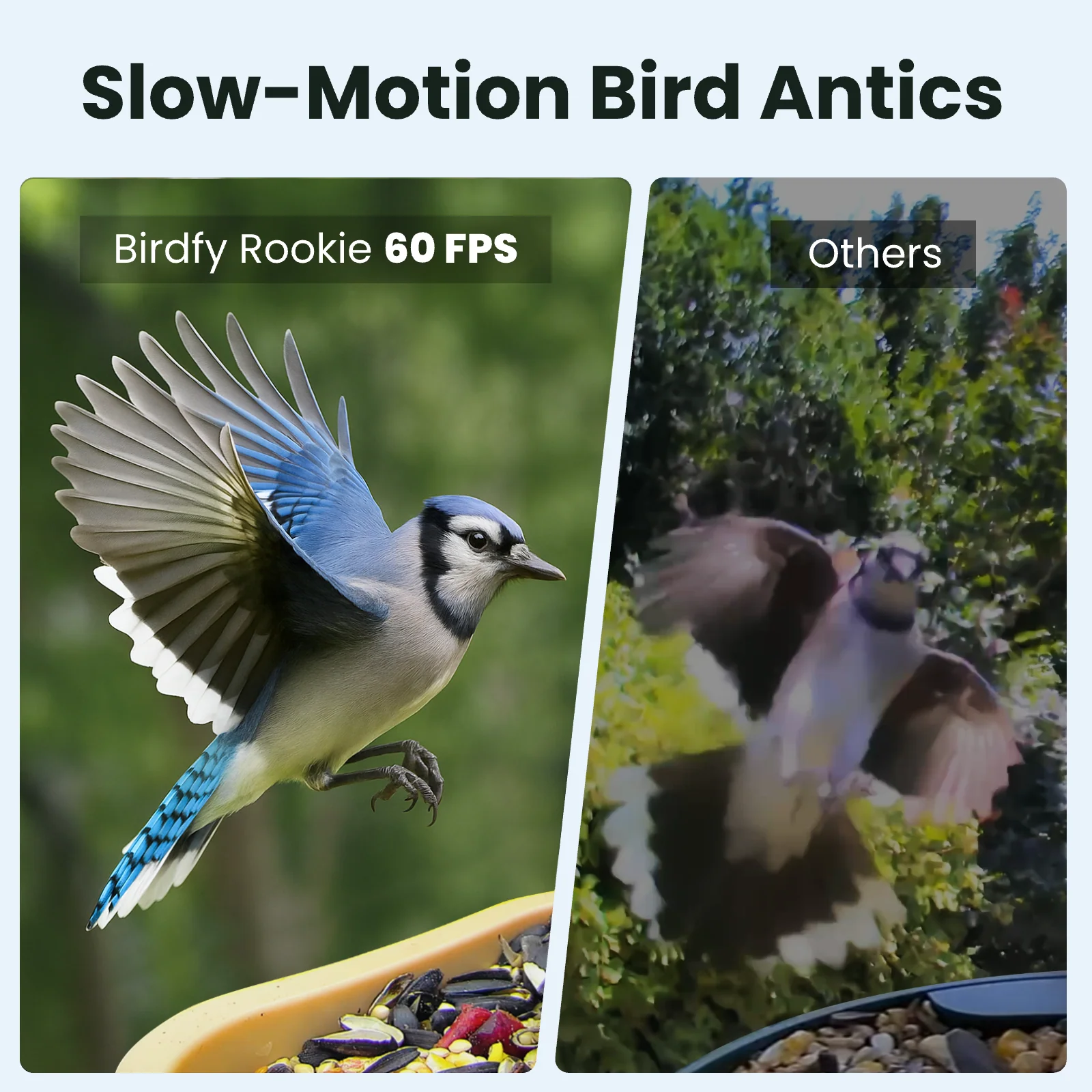 Birdfy Feeder Rookie - Beginner-Friendly Smart Bird Feeder Green - Image 6