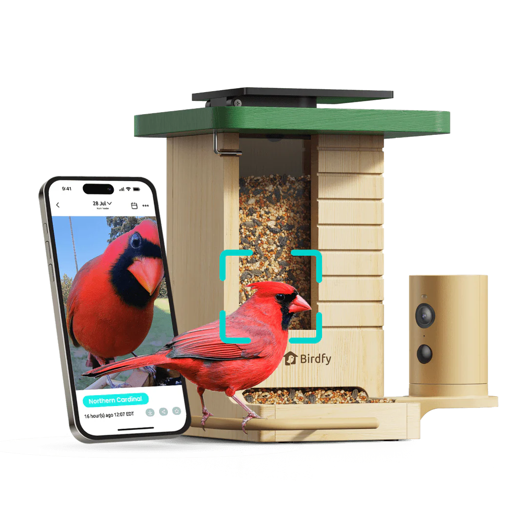 Birdfy Feeder Wood - Wooden Smart Bird Feeder with Camera - Image 15