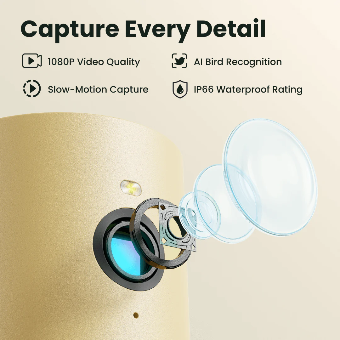 Birdfy Feeder Wood - Wooden Smart Bird Feeder with Camera - Image 5