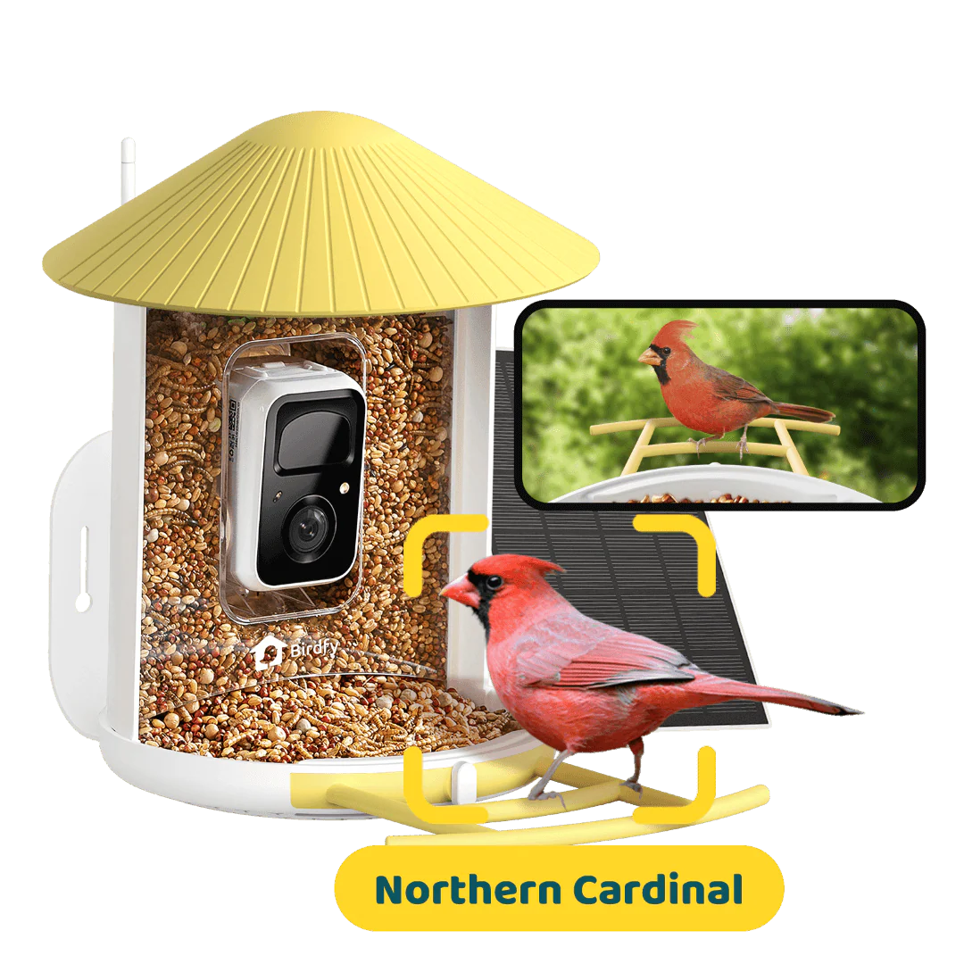 Birdfy Feeder with Solar Panel - Solar-Powered Smart Bird Feeder with Camera - Image 15