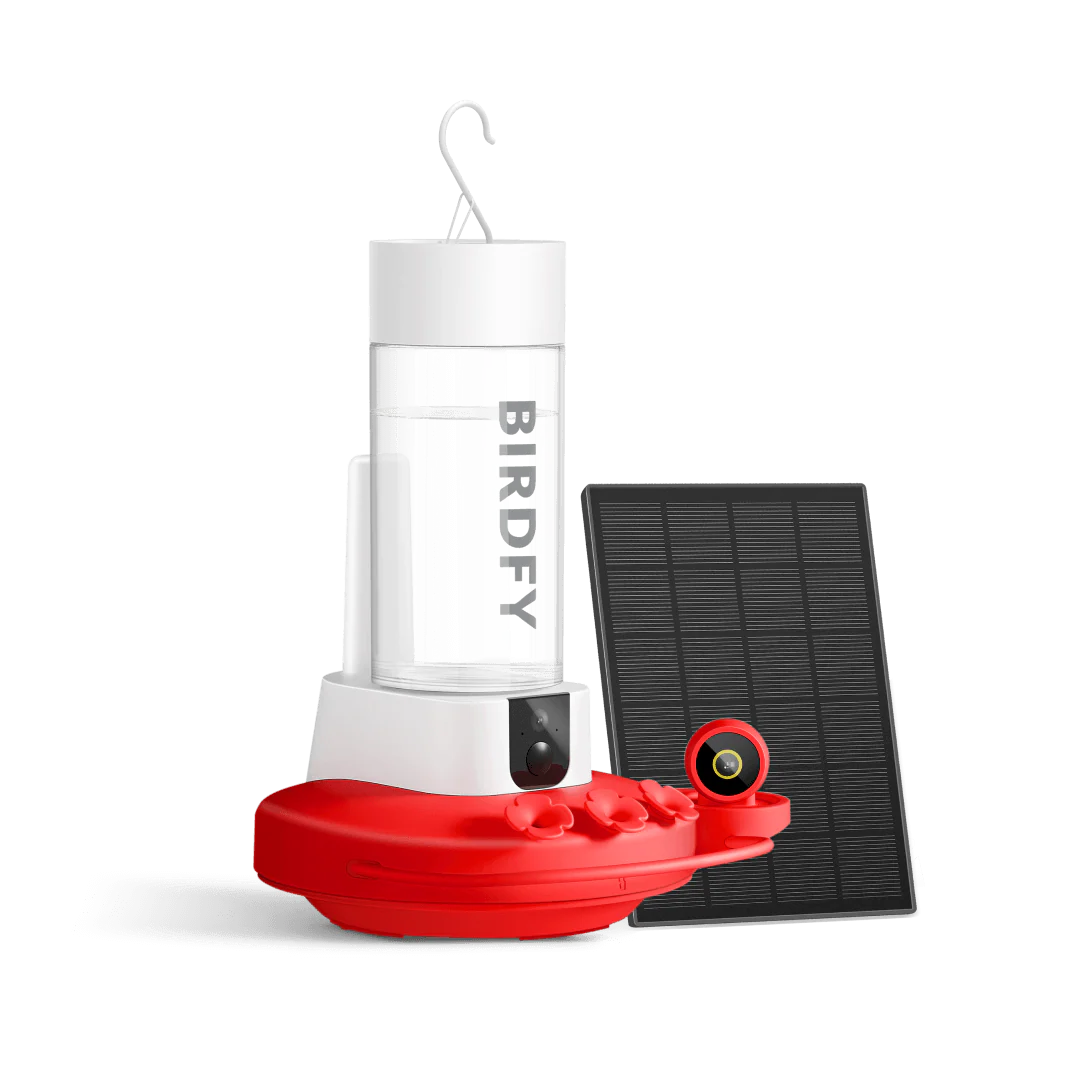 Birdfy Hum Feeder Duo - Hummingbird Feeder with Dual Camera - Image 13