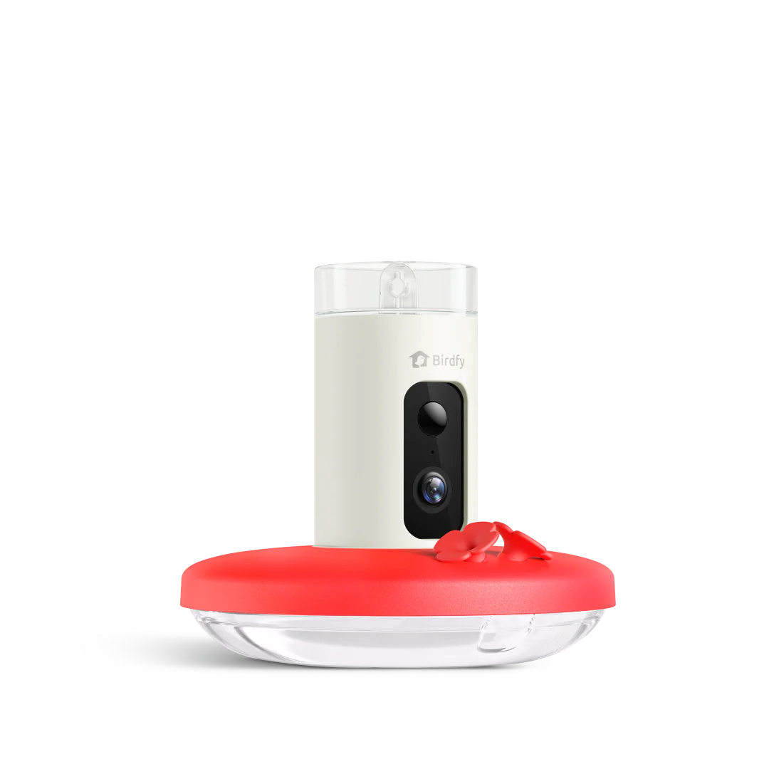 Birdfy Hum Feeder - Hummingbird Feeder with Camera - Image 9