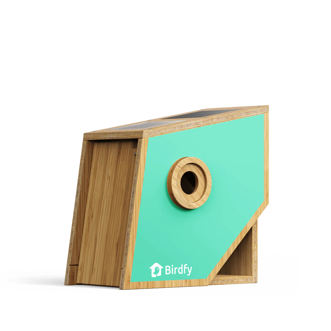 Birdfy Best Seller