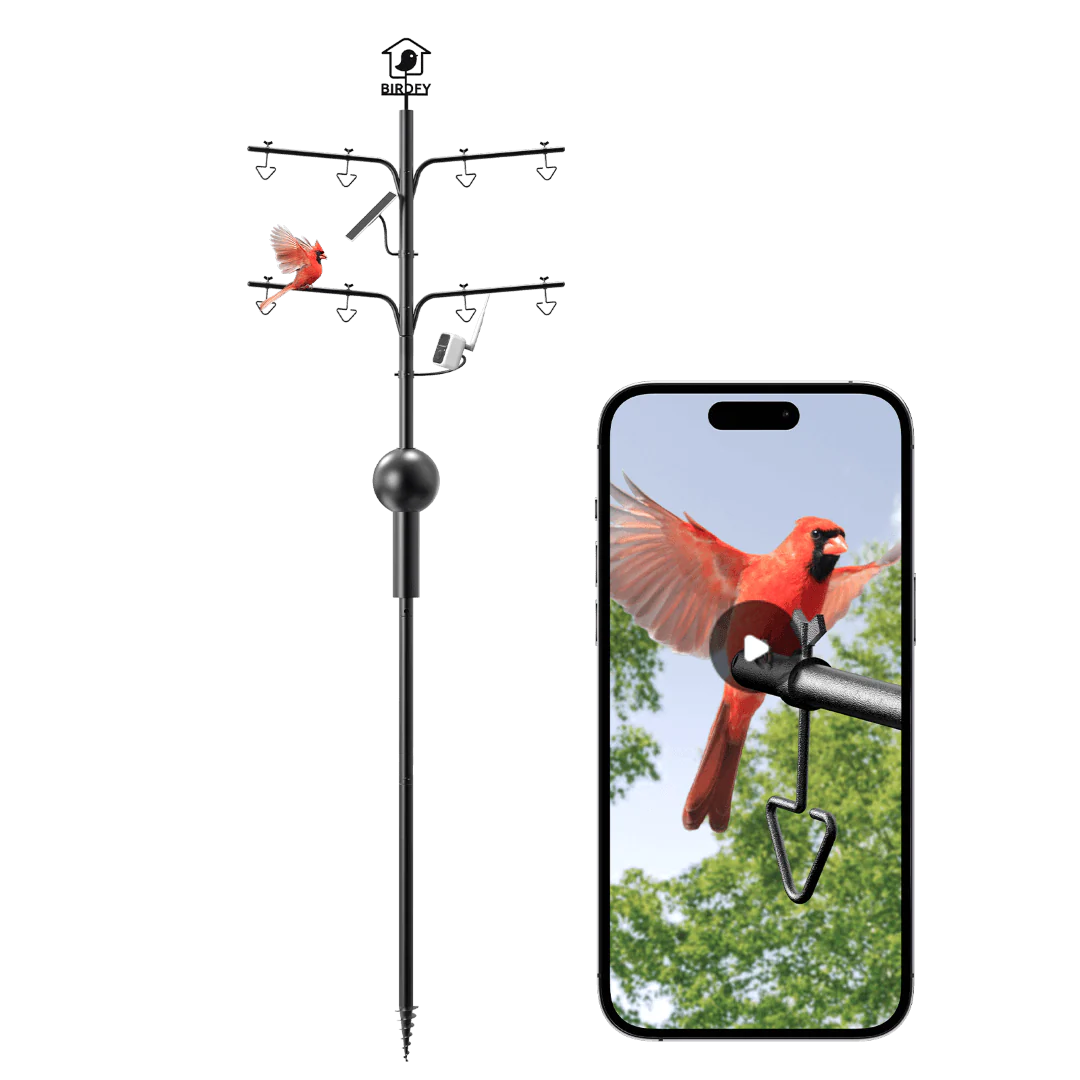 Birdfy Pole - Bird Feeder Pole - Image 8
