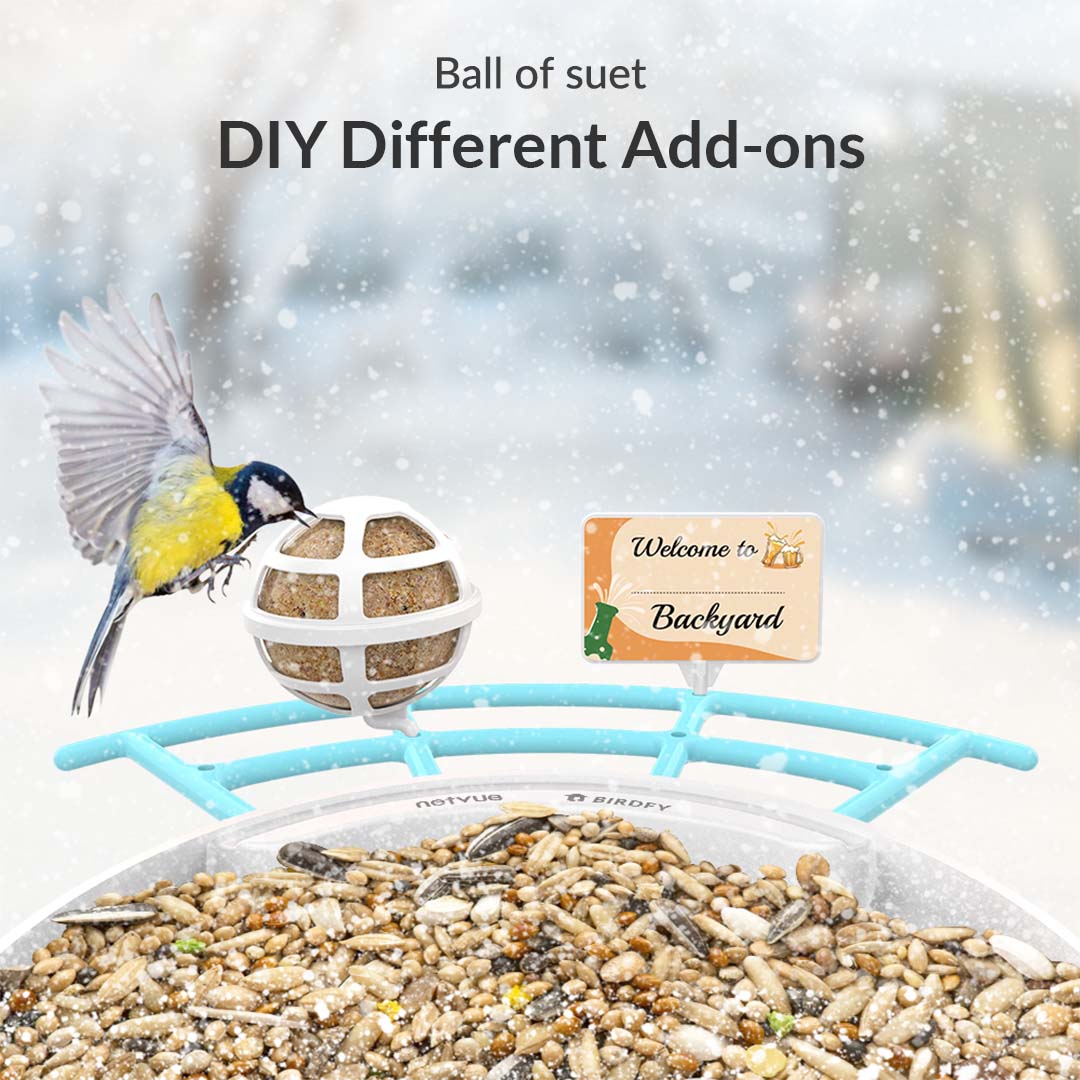Birdfy Perch Pro Extension - Bird Feeder Extension - Image 4