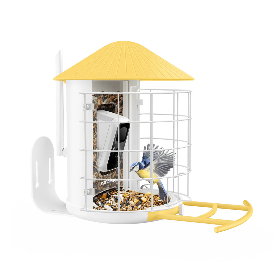 Birdfy Shield - Bird Feeder Shield - Image 4