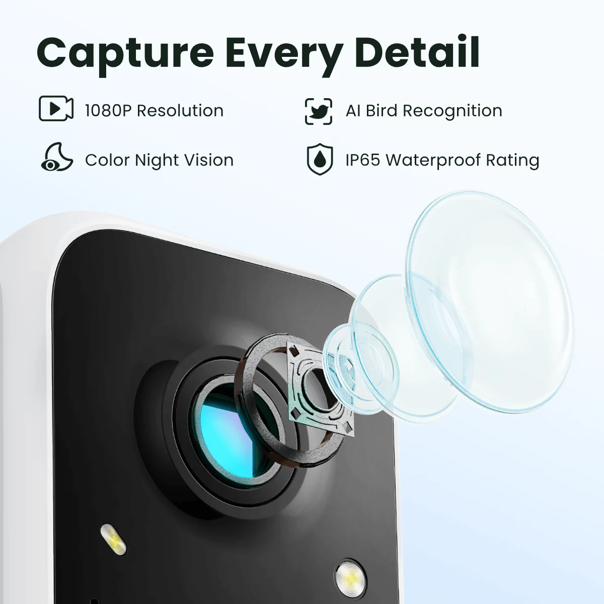 Birdfy Feeder with Solar Panel - Solar-Powered Smart Bird Feeder with Camera - Image 4