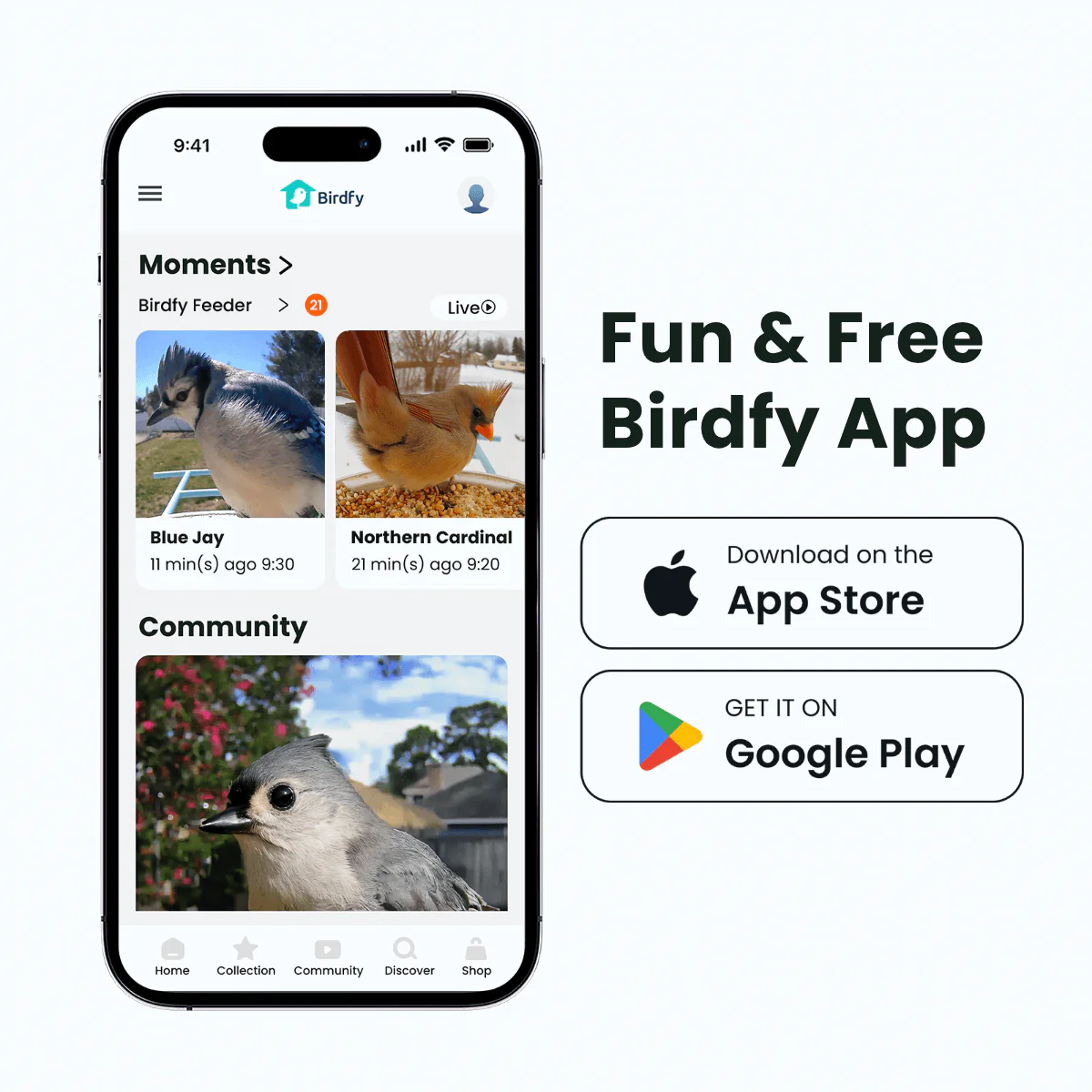Birdfy Feeder with Solar Panel - Solar-Powered Smart Bird Feeder with Camera - Image 5